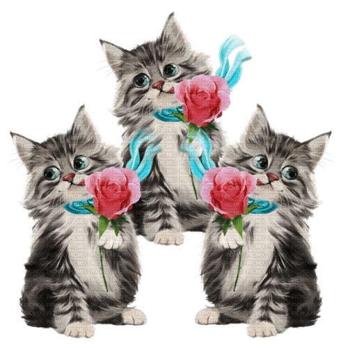 vintage cats flower - zadarmo png