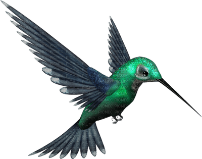Kaz_Creations  Birds Bird - Free PNG
