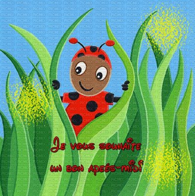 coccinelle - Free animated GIF