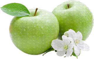 manzanas - kostenlos png