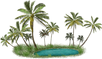 palm trees bp - gratis png