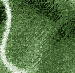 Green - Darmowy animowany GIF