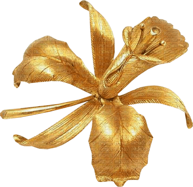 fleur dorée .Cheyenne63 - darmowe png