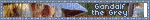 gandalf - Ilmainen animoitu GIF