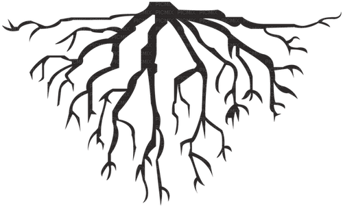 roots - nemokama png