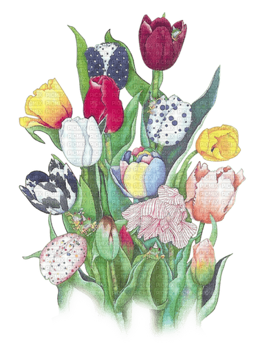 tulips Bb2 - ücretsiz png