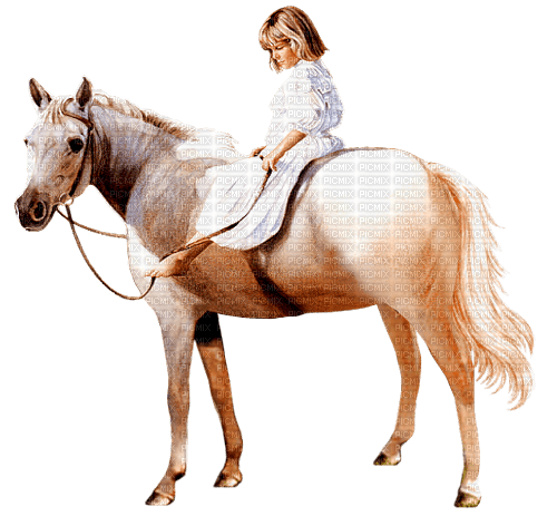Horse, Adam64 - фрее пнг