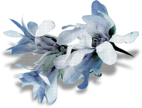 Blue.Flowers.Fleurs.Victoriabea - nemokama png