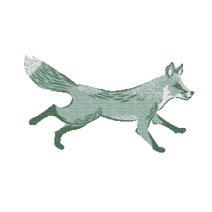 fox - Gratis animerad GIF