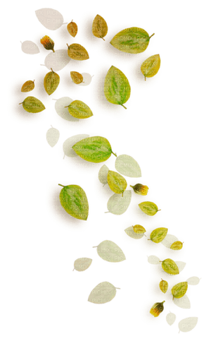 autumn deco leaves green kikkapink - Free PNG