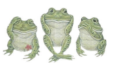 grenouille - 免费PNG