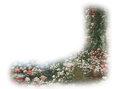 teraza flores  dubravka4 - png grátis