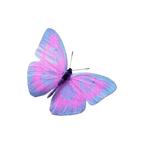 kikkapink deco scrap pink blue butterfly - zdarma png