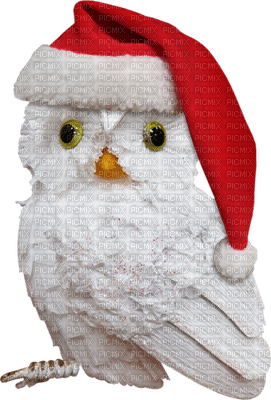 Kaz_Creations Birds Bird Owl Christmas Noel - nemokama png