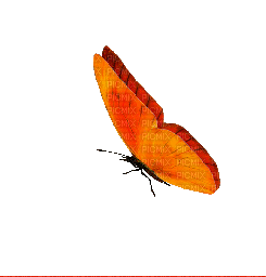 butterfly schmetterling papillon - Безплатен анимиран GIF