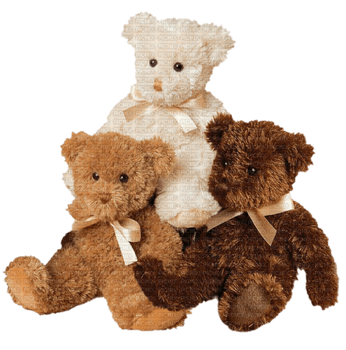 teddy bears - бесплатно png