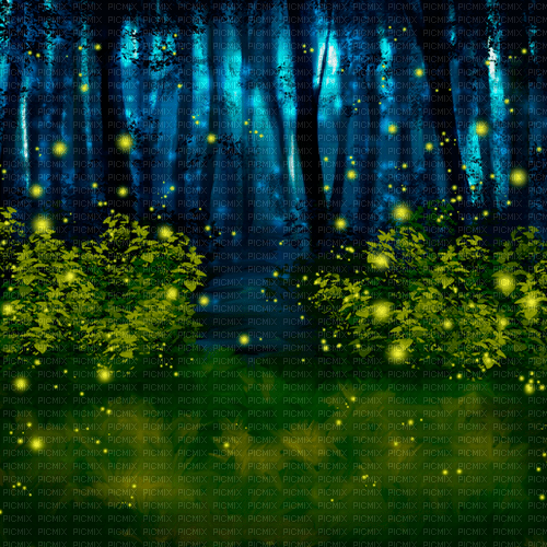 forest background by nataliplus - gratis png