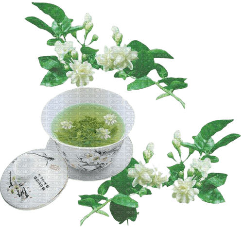 Green Tea - zdarma png