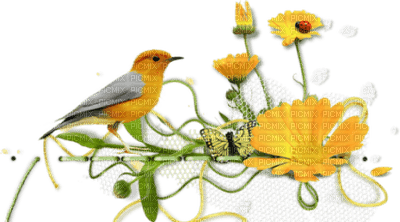 Kaz_Creations Deco Flowers Birds Bird Ladybug - zdarma png