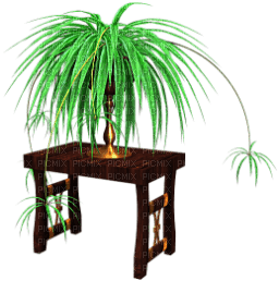 3D PLANTE - PNG gratuit