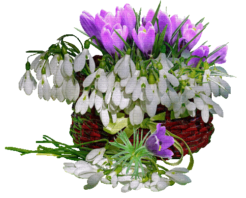 Frühling, Blumen, Korb, Flowers - Gratis animeret GIF