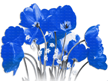 soave deco poppy border field spring flowers - 免费PNG