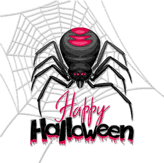 soave spider web text halloween  deco - Free PNG