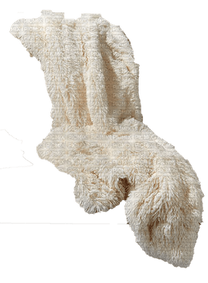 Fur blanket.white.Winter.Hiver.Victoriabea - Free PNG