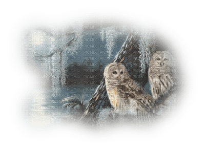 Kaz_Creations Birds Bird Owls Paysage Scenery - PNG gratuit