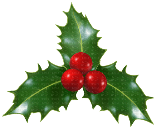 Christmas Mistletoe - gratis png