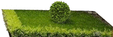 Gartenbeet - 免费动画 GIF