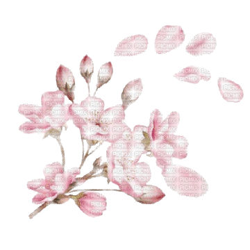 flowers blossom - Бесплатный анимированный гифка