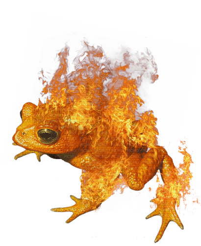 magic fire toad - безплатен png