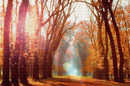Background Autumn - Darmowy animowany GIF