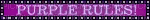 wtf purple guy - Gratis animeret GIF