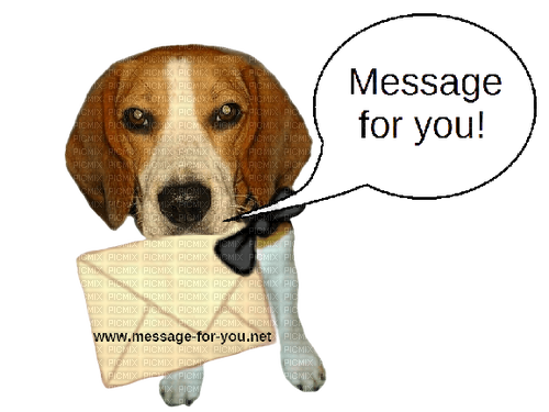 maj beagle - besplatni png