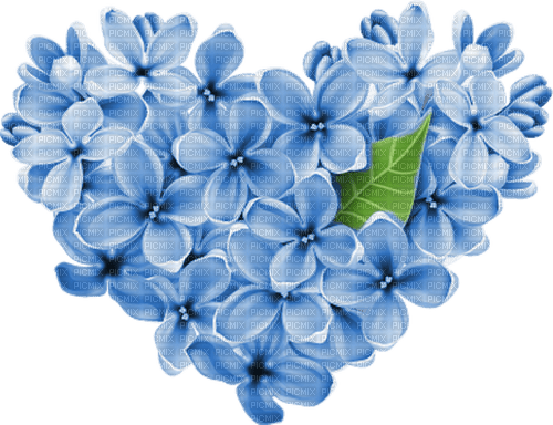 blue flowers Bb2 - zadarmo png