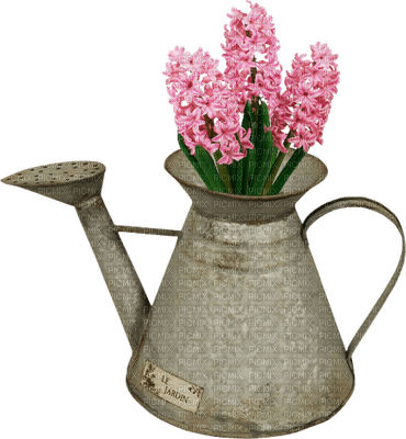 Kaz_Creations Deco Flowers Flower Colours Plant Vase - PNG gratuit