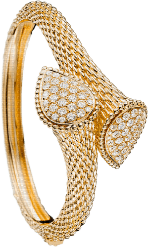 Jewellery Gold - Bogusia - nemokama png