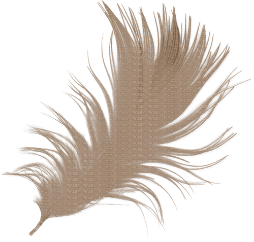dolceluna deco steampunk feather - 免费PNG