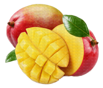 fruit bp - ilmainen png