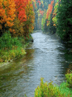rio otoñal - GIF animado grátis