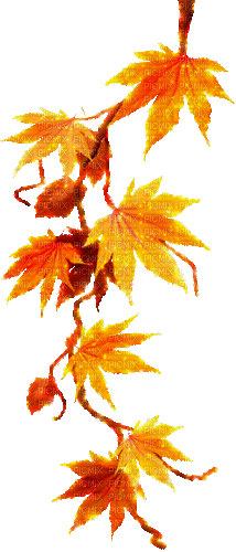 autumn branch by nataliplus - Ingyenes animált GIF