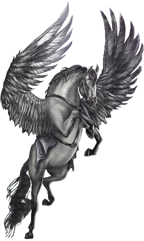 cheval ailé - Free PNG