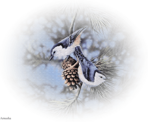 Птицы; декор - Free PNG