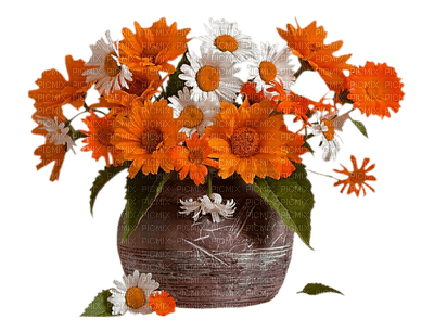 minou-orange-flower - gratis png