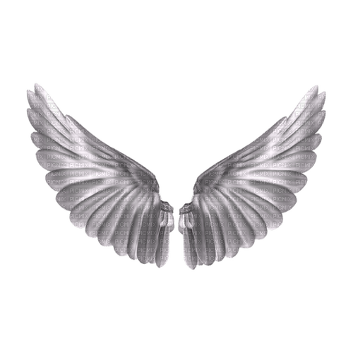 kikkapink white wings deco gothic angel - png ฟรี