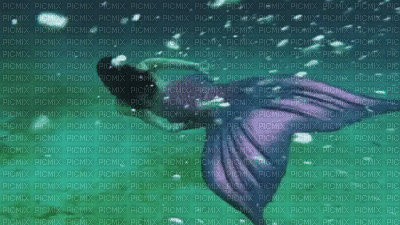 animation sirène - Darmowy animowany GIF
