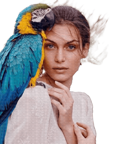 woman summer parrot dolceluna - zdarma png
