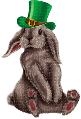 st. Patrick hare by nataliplus - kostenlos png
